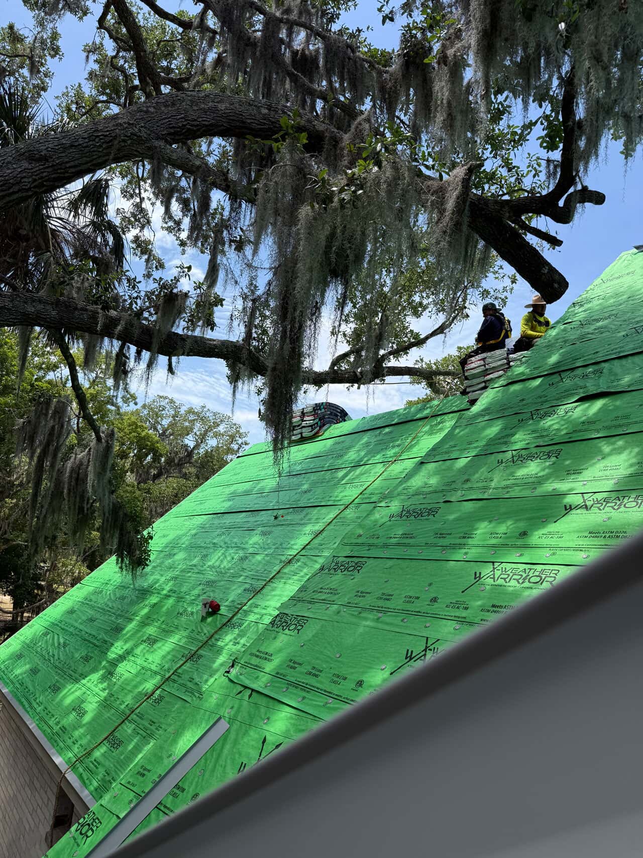 Photo of new roof being installed by installers with large beautiful oak tree branches overhanging the roof